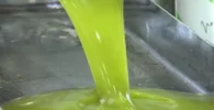 Chorro de Aceite de oliva adulterado